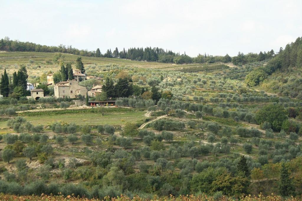 Agriturismo Podere Somigli Di Lorenzo Correani Otel Greve in Chianti Dış mekan fotoğraf