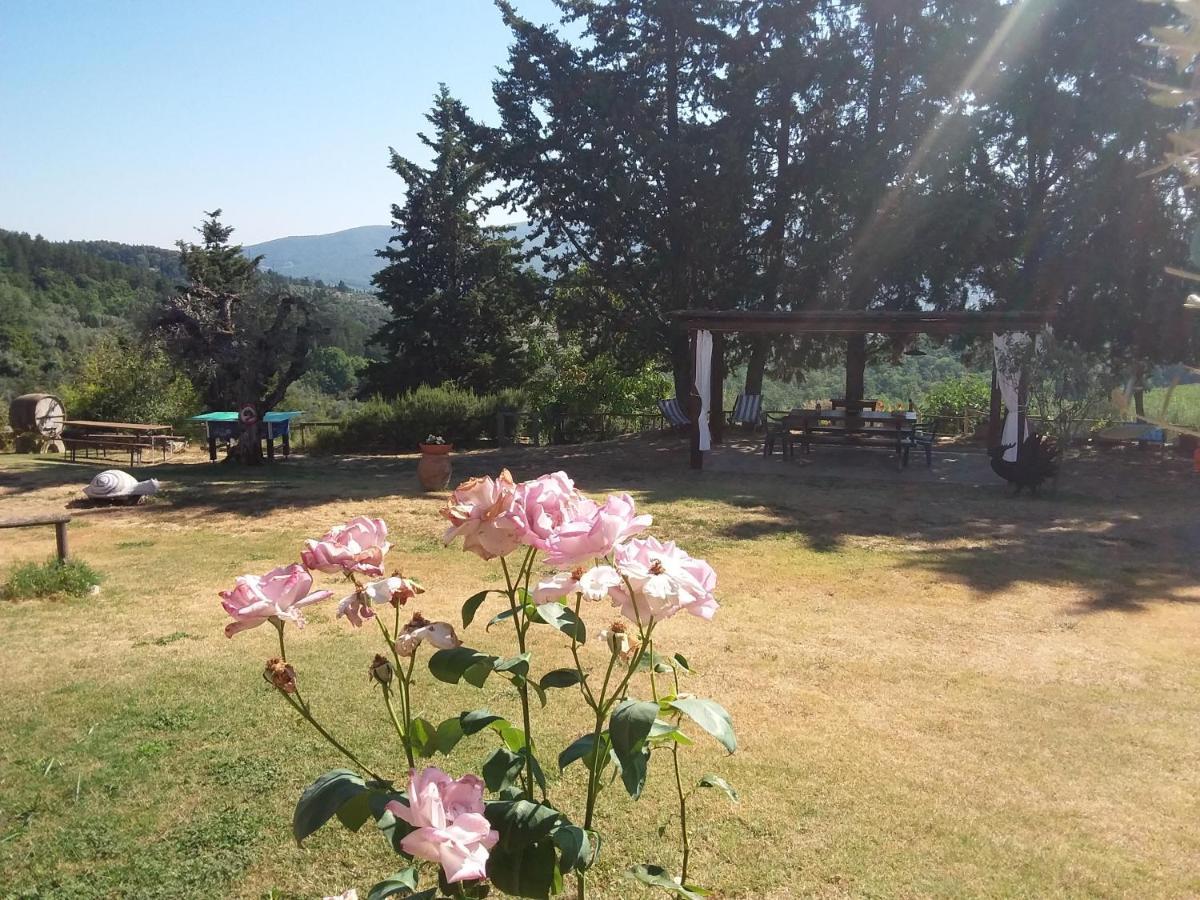 Agriturismo Podere Somigli Di Lorenzo Correani Otel Greve in Chianti Dış mekan fotoğraf