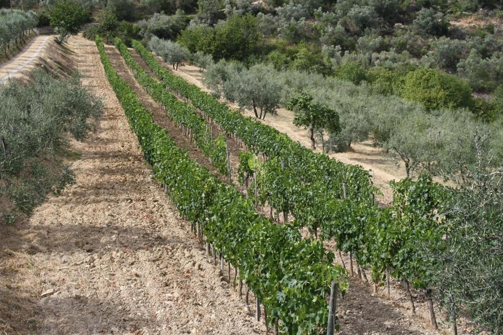 Agriturismo Podere Somigli Di Lorenzo Correani Otel Greve in Chianti Dış mekan fotoğraf